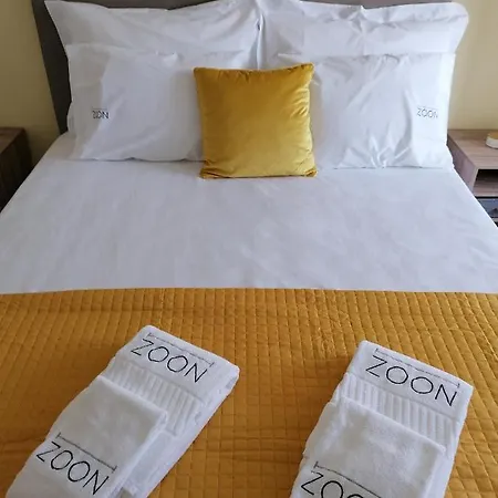 H-zoon * Montijo